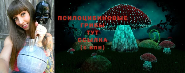 эйфоретик Нефтегорск